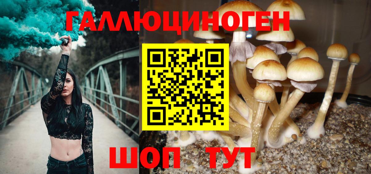 Галлюциногенные грибы Magic Shrooms  Вход с VPN  где купить наркоту  Лосино-Петровский 