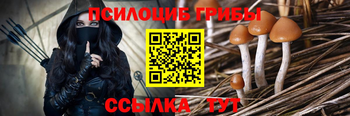 Галлюциногенные грибы Psilocybe Лосино-Петровский
